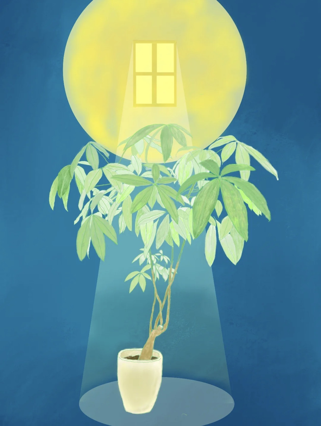 Illustration 2